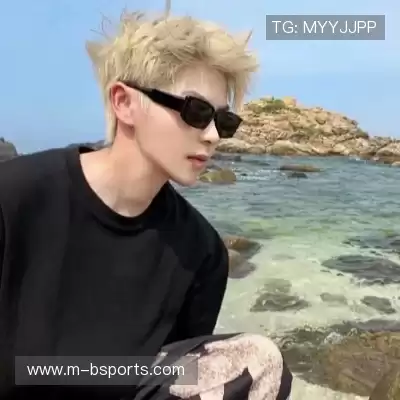 舒舜飚