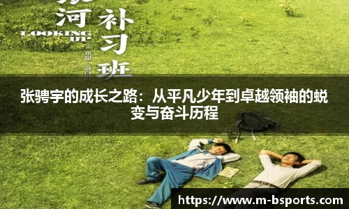 b体育官网